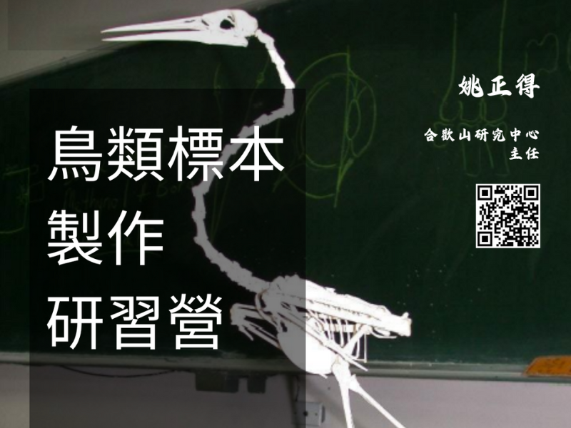 【2026】鳥類標本製作研習營